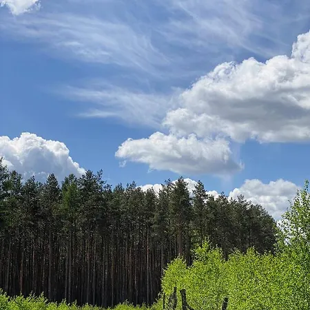 Arche Siedlisko Pilka *