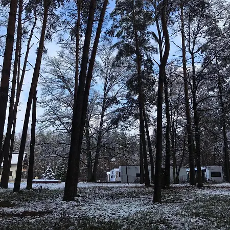 Arche Siedlisko Pilka *