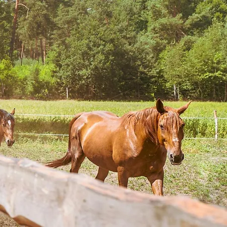Διαμέρισμα Arche Siedlisko Pilka *