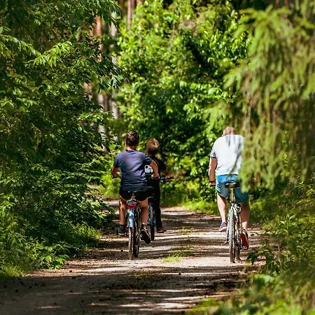 Arche Siedlisko Pilka * Lubliniec